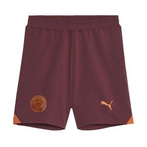 Puma Childrens/Kids Manchester City FC Shorts / Purple